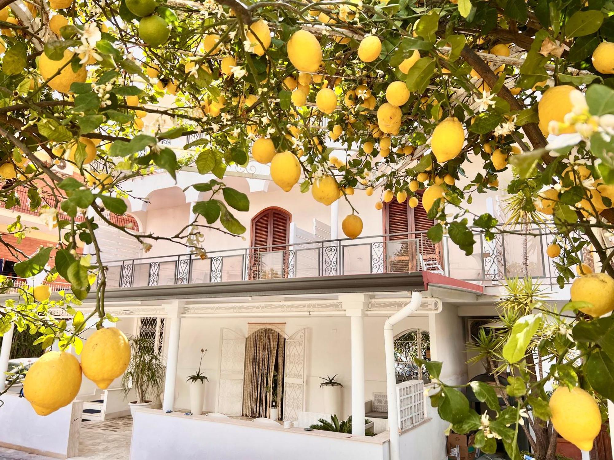 Villa Miriam グラニャーノ エクステリア 写真